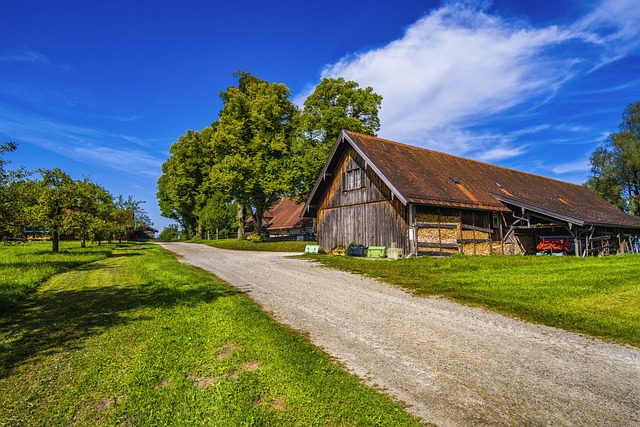 dům ze dřeva